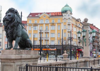 Lion Sofia 02