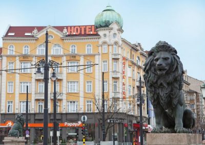 Lion Sofia