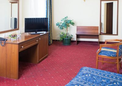 Lion Sofia Room 02
