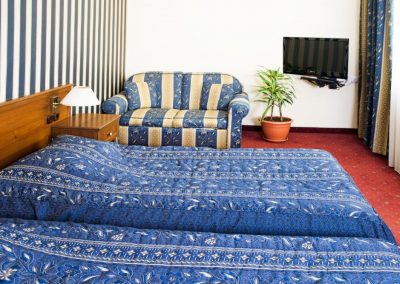 Lion Sofia Room 03