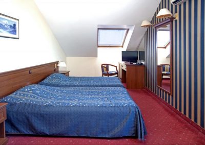 Lion Sofia Room 06