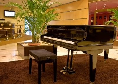 Vitosha Park Hotel 07