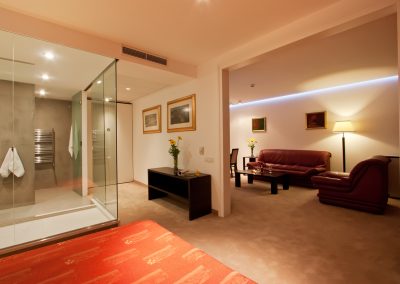 Vitosha Park Hotel Room 02