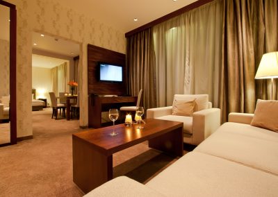 Vitosha Park Hotel Room 03