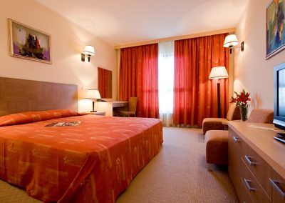 Vitosha Park Hotel Room 07