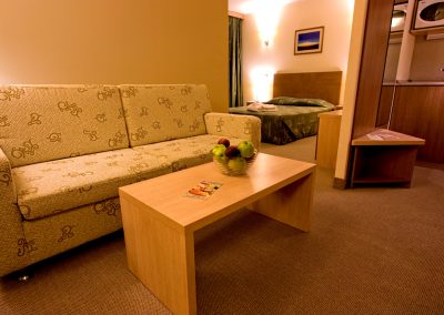 Vitosha Park Hotel Room 11