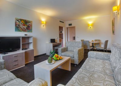 Vitosha Park Hotel Room 12
