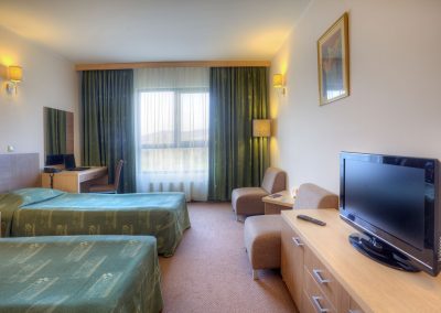 Vitosha Park Hotel Room 15