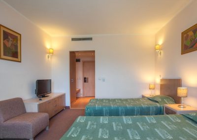 Vitosha Park Hotel Room 16